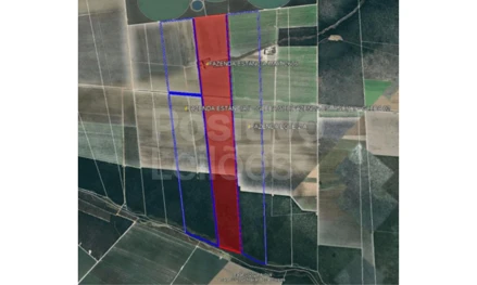 Imóvel rural em São Desidério, , São Desidério - BA, BA. Área: 420.66m2