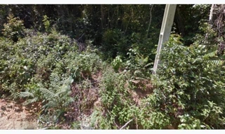 Imóvel 2515511 [''] - ['Ramal do Beto, 10800, Puraquequara, Manaus/AM'] ['Puraquequara'] - ['Manaus']/['AM'] - 1