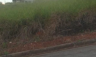 Imóvel 2645411 [''] - ['Rua D, atualmente Rua Vice Prefeito Ludovico Martins Pena, s/n, Bairro Vista Alegre'] [''] - ['Piedade Dos Gerais']/['MG'] - 1