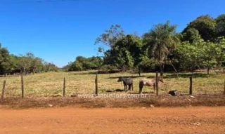 Imóvel 2974811 [''] - ['Av. do Contorno, S/N, LT 04 a 6, QD 18 - Setor Suleste'] [''] - ['Cachoeira Dourada']/['GO'] - 1