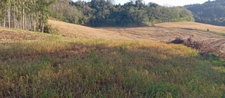 Imóvel 2918111 [''] - ['LOTE COLONIAL NÚMERO SETENTA E QUATRO (74), DA GLEBA NÚMERO NOVE (9), DO IMÓVEL PEPERY, SITUADO NA SEÇÃO DENOMINADA LINHA QUILOMBO, COM FRENTE PARA ESTRADA MUNICIPAL'] [''] - ['Mondaí']/['SC'] - 1