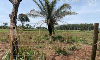 Imóvel 2820411 [''] - ['Rua Tigrina, 21, Lote 21, Quadra 02, Condomínio das Orquídeas, Petrolina de Goiás, GO, 74083-150, , Petrolina de Goiás/GO'] [''] - ['Petrolina de Goiás']/['GO'] - 1