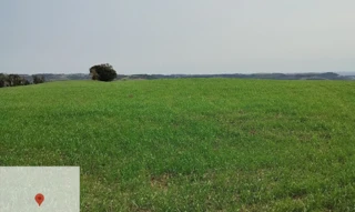 Imóvel 3048511 [''] - ['Lote rural nº153, da 1ª Secção Caturrita, distrito de Trindade'] [''] - ['Nonoai']/['RS'] - 1