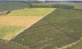 Imóvel 2486111 [''] - ['Fazenda Santana I e II, Córrego do Palmeirinha'] [''] - ['Pinheiros']/['ES'] - 1