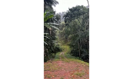 Terreno em Brusque, , Rua Ponta Russa, SC. Área: 60000m2