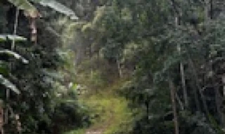 Imóvel 2562511 [''] - ['Rua Ponta Russa'] [''] - ['Brusque']/['SC'] - 1