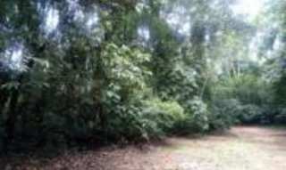 Imóvel 2865011 [''] - ['lote 01, quadra 38, localizado em Área de Preservação Permanente - APP, Loteamento Park Imperial'] ['Parque Imperial'] - ['Caraguatatuba']/['SP'] - 1