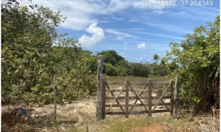 Imóvel 2955311 [''] - ["Estrada do Abais, s/n - Quadra 104, Lote 17 - Loteamento Vila Rica do Abais - Itaporanga d'Ajuda / SE"] [''] - ["Itaporanga D'Ajuda"]/['SE'] - 1