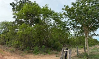 Imóvel 2596711 [''] - ['Nao informado Nao informado'] [''] - ['Nova Xavantina']/['MT'] - 1