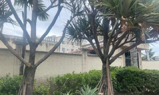 Imóvel 2702712 ['8555538125570'] - ['AVENIDA CHRISOSTOMO PIMENTEL DE OLIVEIRA,N. 477 APTO. 409 BL 02, ANCHIETA - CEP: 21645-521, RIO DE JANEIRO - RIO DE JANEIRO'] ['Anchieta'] - ['Rio De Janeiro']/['RJ'] - 1