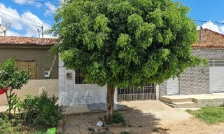 Imóvel 2533112 ['8555511669324'] - ['RUA FRANCISCO FERNANDES,N. SN PARTE DO LOTE 09 DA QUADRA 03, CRISTO REI - CEP: 58900-000, CAJAZEIRAS - PARAIBA'] [''] - ['Cajazeiras']/['PB'] - 1