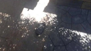 Imóvel 2730112 [''] - ['Rua Coronel Joaquim Araujo Bedor, 210, Agamenon Magalhaes, Santa Maria da Boa Vista, PE'] [''] - ['Santa Maria Da Boa Vista']/['PE'] - 1