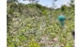 Imóvel 2578712 [''] - ['lugar denominado "???"'] [''] - ['Tangará Da Serra']/['MT'] - 1