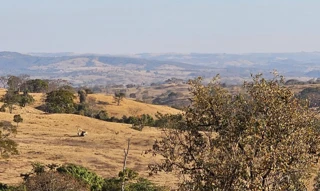 Imóvel 2590012 [''] - ["Mata dos Felipes, Fazenda Soledade, Olhos D'água e Posse do Ouvidor"] [''] - ['Cumari']/['GO'] - 1