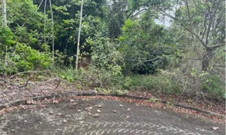Imóvel 2957712 [''] - ['Residencial Reserva de Alhandra, Lote 04, Quadra C, Bairro Fazenda Santo Antônio'] [''] - ['Alhandra']/['PB'] - 1