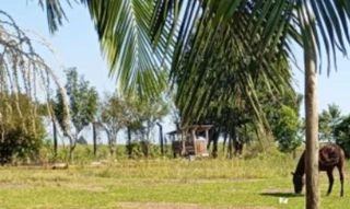 Imóvel 2898512 [''] - ['Lote urbano n°09, da quadra n°168, com a área de 1.000m², situado na cidade de Bandeirante (SC)'] [''] - ['Bandeirante']/['SC'] - 1
