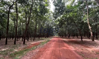 Imóvel 2662412 [''] - ['Fazenda Ribeirão dos Paulas, lugar denominado Córrego do Caju'] [''] - ['Cachoeira Alta']/['GO'] - 1