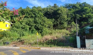 Imóvel 2697812 ['1444422096787'] - ['RUA PAROBE,N. SN LT 03, CENTRO - CEP: 95895-000, COLINAS - RIO GRANDE DO SUL'] [''] - ['Colinas']/['RS'] - 1