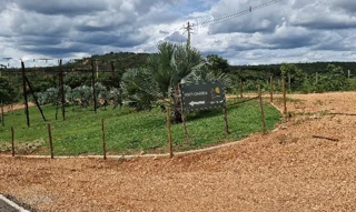 Imóvel 2269112 ['1444407150741'] - ['LOTE 02,N. SN QD 16, CENTRO - CEP: 35830-000, JABOTICATUBAS - MINAS GERAIS'] [''] - ['Jaboticatubas']/['MG'] - 1