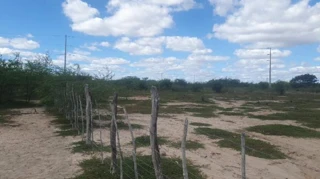 Imóvel 2395012 ['1555522698144'] - ['RUA 02,N. SN QD D LOTE 31 A 48, CAPELA DE SÃO BRAZ - CEP: 56200-000, OURICURI - PERNAMBUCO'] ['dos Bernardos'] - ['Ouricuri']/['PE'] - 1