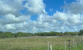 Imóvel 2547812 ['1444404568478'] - ['RUA 1,N. SN LTS 39 40 QD 12, BOI MORTO - CEP: 62680-000, PARACURU - CEARA'] [''] - ['Paracuru']/['CE'] - 1