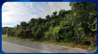 Imóvel 1701912 [''] - [', SN - Área Rural de Águas de Lindóia'] [''] - ['Águas De Lindóia']/['SP'] - 1