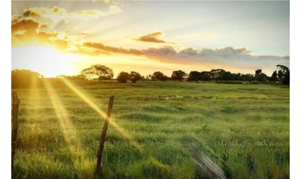 Terreno em Girau do Ponciano, , AL-115, sentido Girau do Ponciano/Campo Grande, perímetro urbano, AL. Área: 127708.31m2