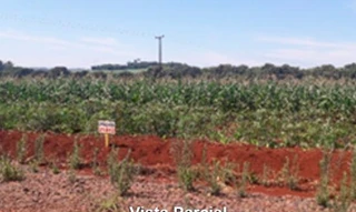 Imóvel 2591612 [''] - ['Nao informado Nao informado Balneario Ipiranga'] [''] - ['São Miguel Do Iguaçu']/['PR'] - 1