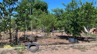 Imóvel 2539712 [''] - ['Rua RP-02'] [''] - ['São Luís De Montes Belos']/['GO'] - 1