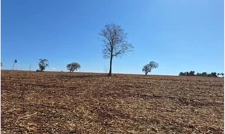 Imóvel 2776312 [''] - ['Um imóvel rural em Chavantes - SP'] [''] - ['Chavantes']/['SP'] - 1