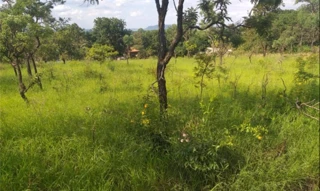 Imóvel 3029612 [''] - ['Avenida Marginal, s/nº - Quadra 03 - Lote 06 - Condomínio Serra Verde - Itirapina/SP'] [''] - ['Itirapina']/['SP'] - 1