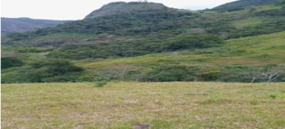 Imóvel 2984213 [''] - ['ÁREA DE 690.500M², IMÓVEL RURAL "MONTE SIÃO"'] [''] - ['Campos Dos Goytacazes']/['RJ'] - 1