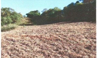 Imóvel 3006413 [''] - [', S/N - INTERIOR'] [''] - ['Chuvisca']/['RS'] - 1