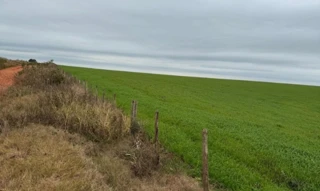 Imóvel 2993213 [''] - [''] [''] - ['Tupanciretã']/['RS'] - 1