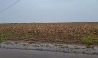 Imóvel 2603113 [''] - ['Pr 585'] [''] - ['Toledo']/['PR'] - 1