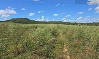 Imóvel 2986813 [''] - ['FAZENDA SANTO ANTÔNIO I, localizada no município de Paranatinga/MT'] [''] - ['Paranatinga']/['MT'] - 1