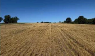 Imóvel 2643213 [''] - ['/'] [''] - ['Salto Do Jacuí']/['RS'] - 1