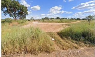 Imóvel 2511813 [''] - ['Gleba de terras Saia Velha'] [''] - ['Luziânia']/['GO'] - 1