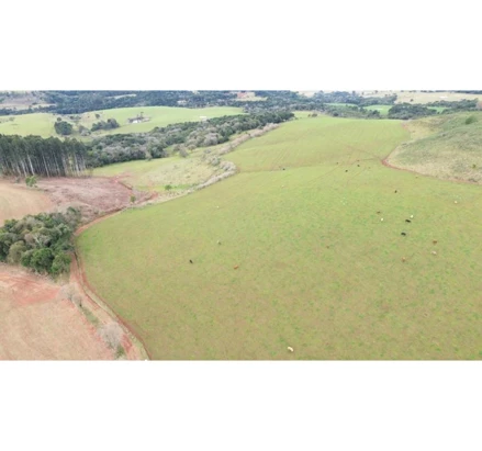 Imóvel rural em Anita Garibaldi, , São Pedro da Barra do Tigre, Costa do Rio Canoas, Interior, Anita Garibaldi/SC,, S/N, SC. Área: nullm2