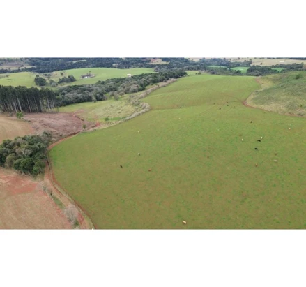 Imóvel rural em Anita Garibaldi, , São Pedro da Barra do Tigre, Costa do Rio Canoas, Interior, Anita Garibaldi/SC,, S/N, SC. Área: nullm2 - imagem 0