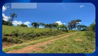 Imóvel 2102913 [''] - ['ZONA RURAL de ÁGUA PRETA'] [''] - ['Água Preta']/['PE'] - 1