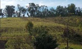 Imóvel 2693913 [''] - ['Linha Roggia, município de Caiçara – RS'] [''] - ['Frederico Westphalen']/['RS'] - 1