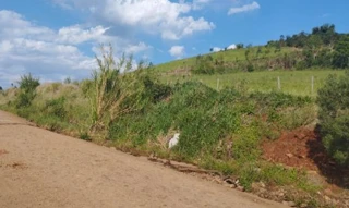 Imóvel 2656613 [''] - [', 1100 - Interior'] [''] - ['Humaitá']/['RS'] - 1