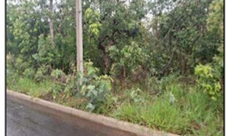 Imóvel 2794413 ['10290981'] - ['RUA 18,N. 00 QD 196, LT 09, SETOR LAGOA QUENTE - CEP: 75692-550, CALDAS NOVAS - GOIAS'] ['St. Lagoa Quente'] - ['Caldas Novas']/['GO'] - 1