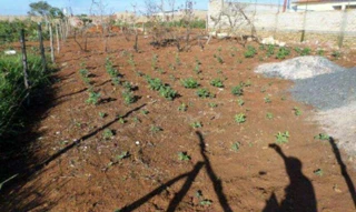 Imóvel 2689613 [''] - ['Avenida Brigadeiro Eduardo Gomes, s/nº - Lote 07, Quadra 322 - Loteamento Alexânia - Setor Morada Nova - Alexânia / GO'] [''] - ['Alexânia']/['GO'] - 1