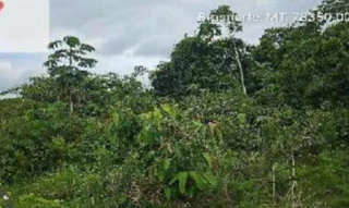 Imóvel 2596613 [''] - ['Nao informado Nao informado'] [''] - ['Brasnorte']/['MT'] - 1