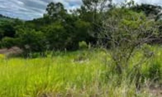 Imóvel 2858213 [''] - ['Rua Olivino Rodrigues dos Santos, Lot. Silvio Fructuoso de Mello Coelho, Vila Hermínia'] [''] - ['Ribeirão Do Pinhal']/['PR'] - 1