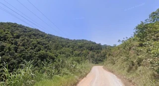 Imóvel 2435713 [''] - ['Rio Teófilo, a 2,5 km da entrada da rua geral e a 1,0 km da casa do Sr. Valdemar Hames'] [''] - ['Major Gercino']/['SC'] - 1