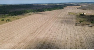 Imóvel 2717514 [''] - ['Travessão 03, s/nº - Imóvel Rural - Lote 684 - Projeto Assentamento São José União - Matupá / MT'] ['União'] - ['Matupá']/['MT'] - 1