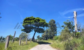 Imóvel 2716814 [''] - ['final da Rua Professor Armando Ognibene'] [''] - ['Botucatu']/['SP'] - 1